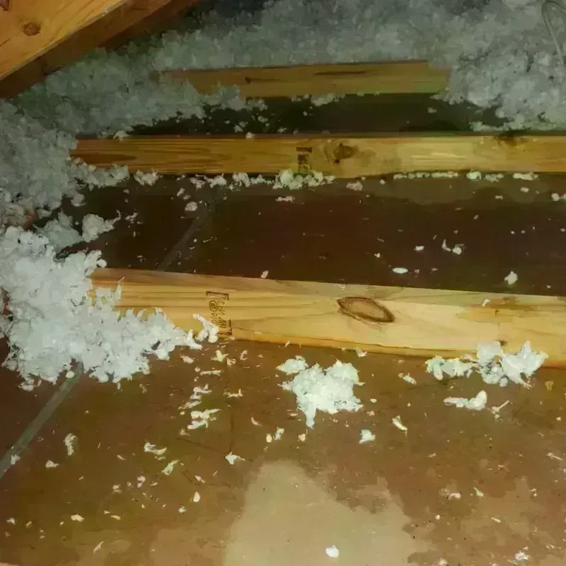 Attic Water Damage in Highland, CA