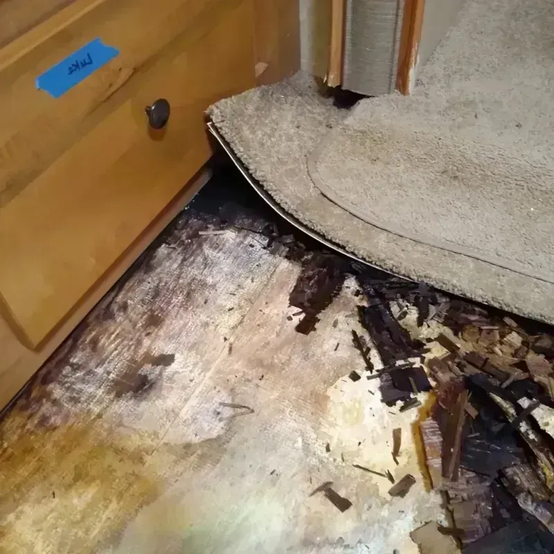 Wood Floor Water Damage in Highland, CA